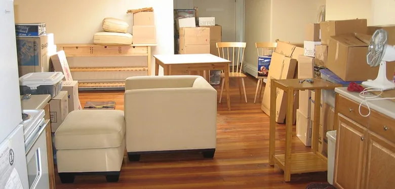 Professional residential movers carrying boxes in Dubai
